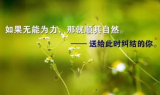 关于人生哲理的句子（名人关于人生哲理的句子）