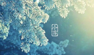 关于小雪的古诗 关于小雪的古诗30首