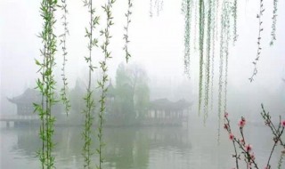 关于树的古诗（关于树的古诗100首）