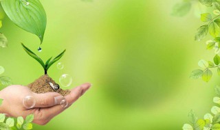 描写春天景色的古诗 描写春天美景的古诗