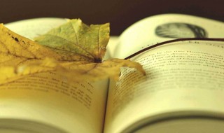 读书的重要性和好处（读书对我们有什么好处）