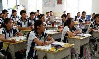 我和小动物的故事作文