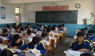 小池的古诗 小池的古诗配画