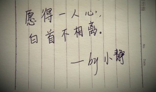 愿得一人心白首不相离出处（愿得一人心白首不分离出处）