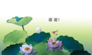 赞美荷花的诗句古诗（赞美荷花的古诗）