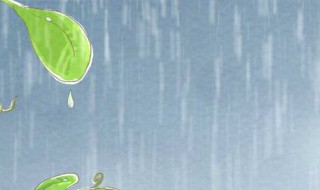 形容下雨的句子 形容下雨的成语