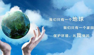 保护环境的优美句子（道路清扫保洁及垃圾清运方案）