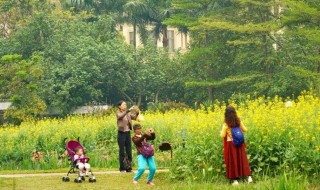 春风一拂千山绿的下一句是什么 春风吹出千山绿下联是什么