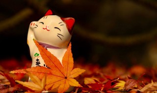 随心所欲什么意思（不能随心所欲什么意思）