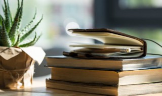 披星戴月是什么意思 披星戴月是什么意思解释