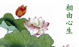 相由心生的意思是什么（相由心生这个成语是什么意思）