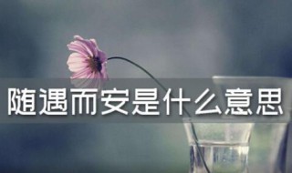 随遇而安的意思是什么 随遇而安的意思是什么解释