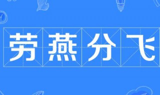 劳燕分飞什么意思 劳燕分飞什么意思解释