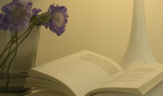 铿锵是什么意思 铿锵是什么意思解释