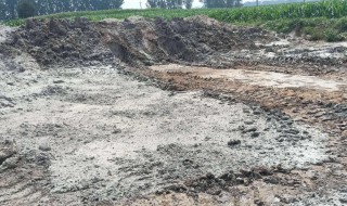 悬崖勒马什么意思 对方说你悬崖勒马什么意思