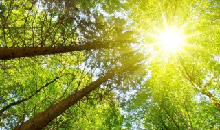 太阳像什么一样比喻句 太阳像什么一样比喻句怎么写