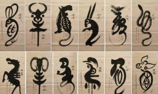 相刑生肖什么意思（生肖的相刑是什么意思）