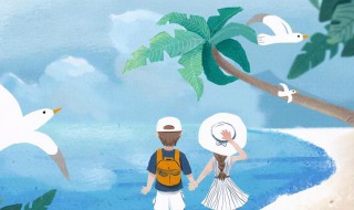 专一是什么意思（顽固专一是什么意思）