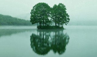 静候佳音是什么意思（静候佳音是什么意思啊）