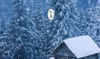 阳历是农历还是新历 阳历是农历还是新历?