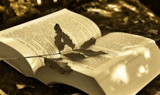 旅程作文450字 旅途作文500字