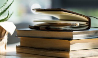 稚嫩的意思（幼稚和稚嫩的意思）