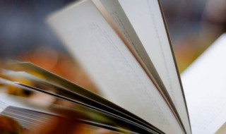 冰山一角的意思 冰山一角的意思解释