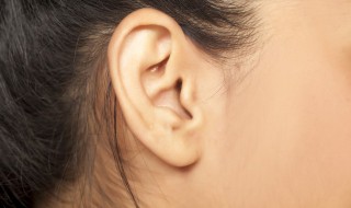 ears是什么意思（ear是什么意思）