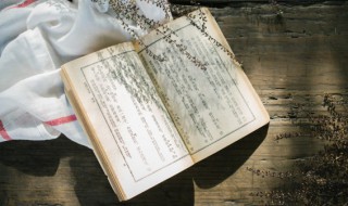 投其所好的意思 投其所好的意思打-生肖