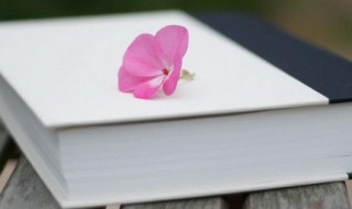 万古长青的意思（鹏程万里万古长青的意思）