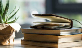 素昧平生的意思 素昧平生的意思解释