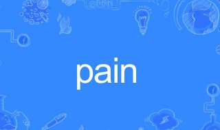 pain什么意思 pains什么意思