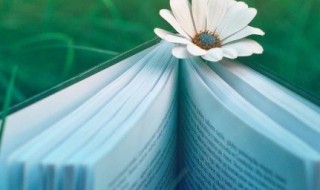 同流合污的意思