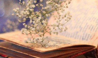 众望所归的意思（众望所归,实至名归的意思）