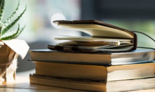 成事在人谋事在天什么意思 成事在人天谋事在人什么意思