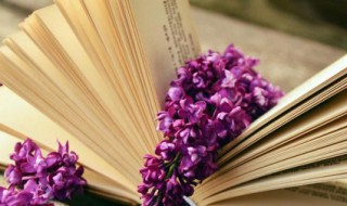 坐享其成是什么意思（不劳而获坐享其成是什么意思）