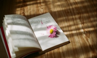 更迭是什么意思（人员更迭是什么意思）