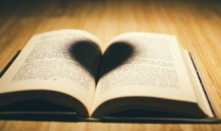 情有可原的意思 情有可原的意思和拼音