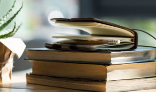 稚气未脱的意思（稚气未脱的意思和近义词）