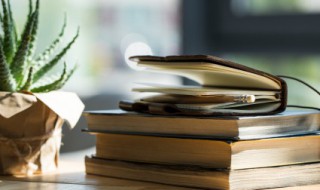 含情脉脉的意思（含情脉脉的意思的读音）