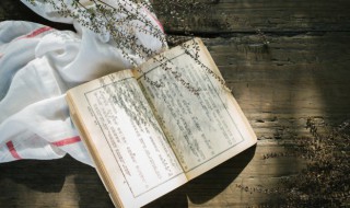 同化是什么意思