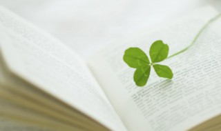 气势恢宏的意思 气势恢宏的意思解释