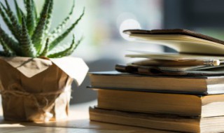 不怀好意的意思（不怀好意的意思和拼音）