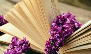 自吹自擂的意思（自吹自擂的意思解释）