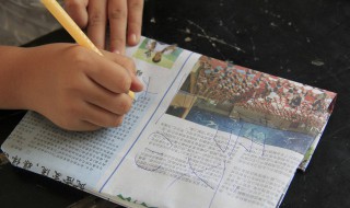 千头万绪是什么意思（千头万绪是什么意思指什么生肖?）