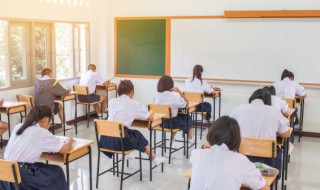 chair是什么意思（chairs是什么意思）