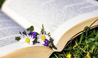 友谊是一本书作文600字 作文《友谊》600字