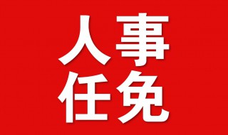 任免是什么意思（干部任免是什么意思）