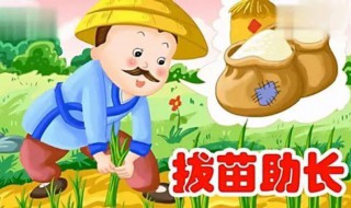 拔苗助长什么意思 拔苗助长什么意思造句