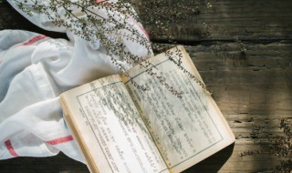 揣摩是什么意思